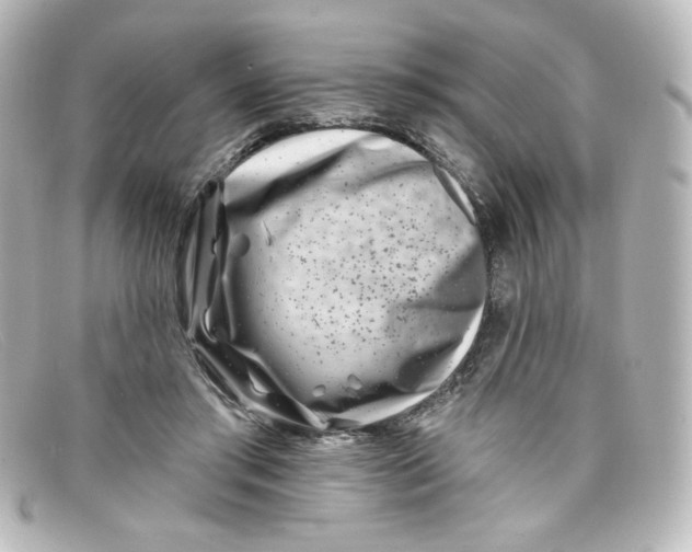 X0000098150405200805081046
