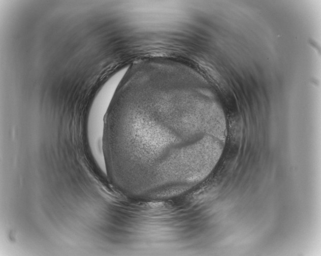 X0000098150406200805081046