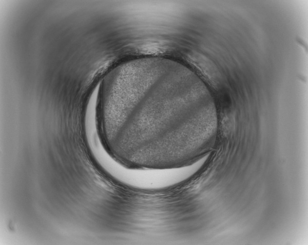 X0000098150407200805081046