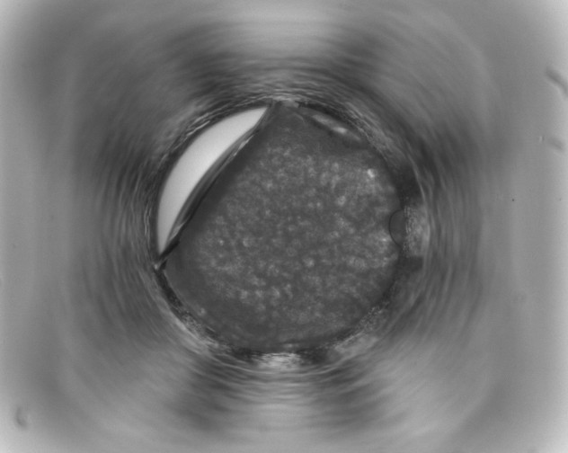 X0000098150410200805081046
