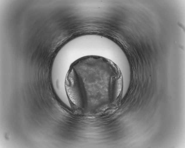 X0000098150411200805081046