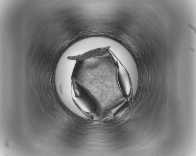 X0000098150415200805081046