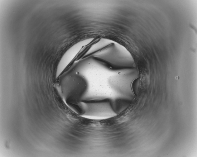 X0000098150416200805081046
