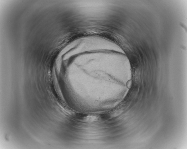 X0000098150418200805081046