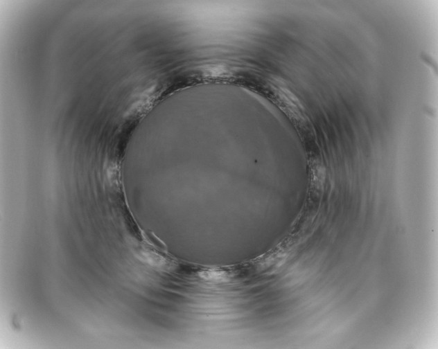 X0000098150419200805081046