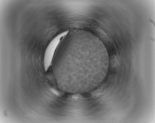 X0000098150420200805081046