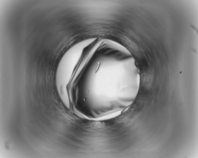 X0000098150421200805081046