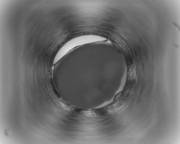 X0000098150424200805081046