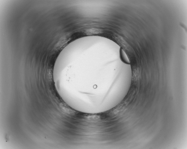 X0000098150426200805081046