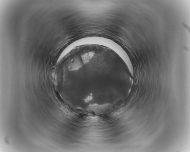 X0000098150428200805081046
