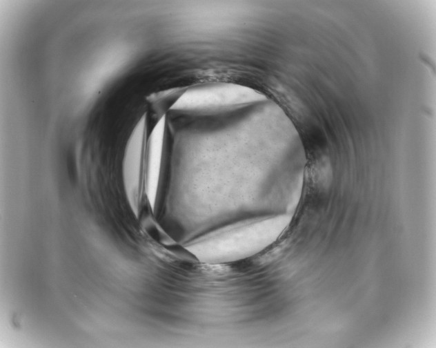 X0000098150429200805081046