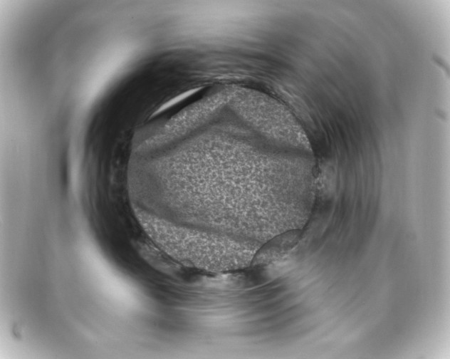 X0000098150430200805081046