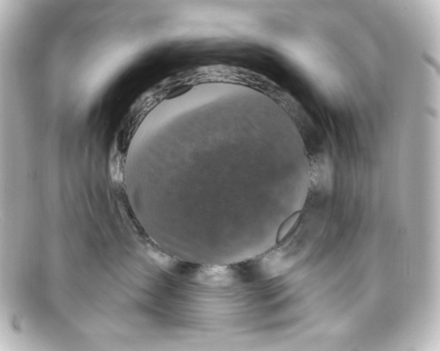 X0000098150431200805081046