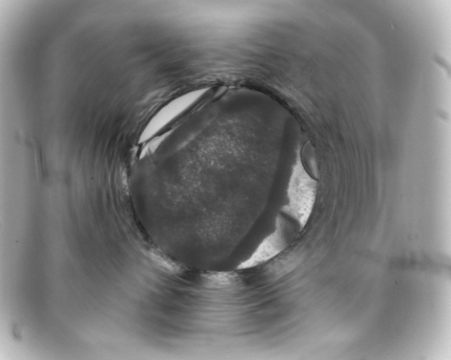 X0000098150432200805081046