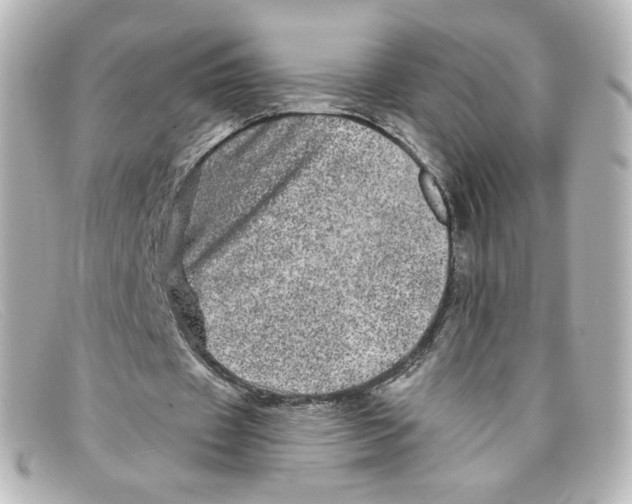 X0000098150433200805081045
