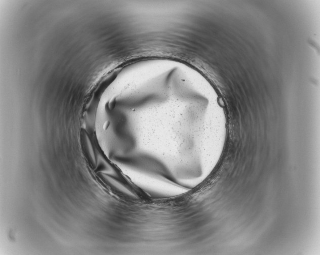 X0000098150434200805081045