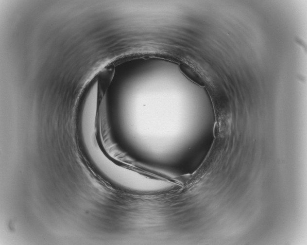 X0000098150436200805081045