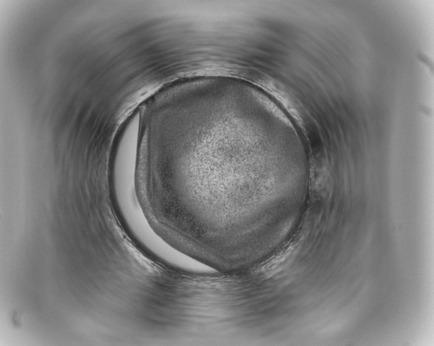 X0000098150437200805081045