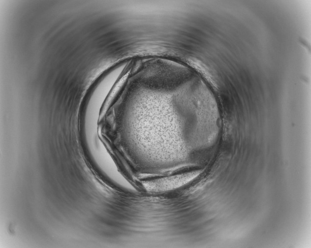 X0000098150439200805081045
