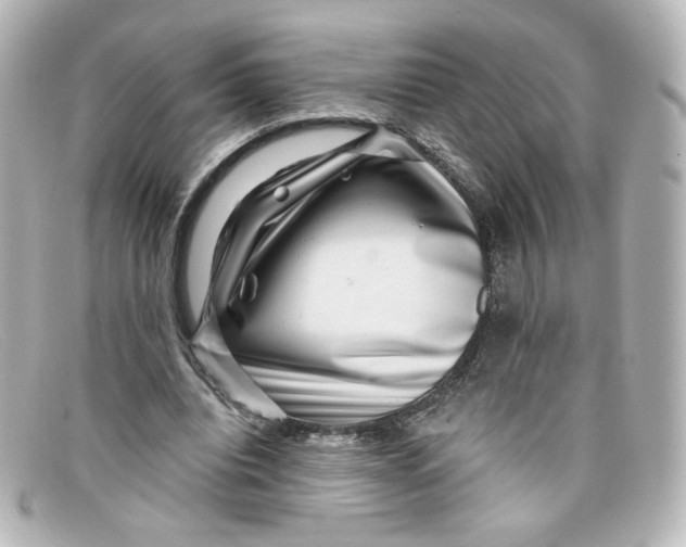 X0000098150440200805081045