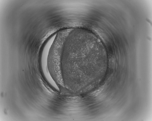 X0000098150443200805081045