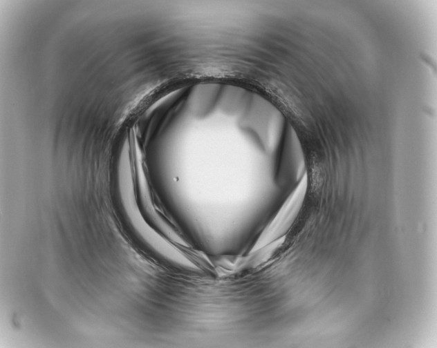 X0000098150444200805081045