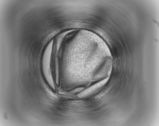 X0000098150445200805081045