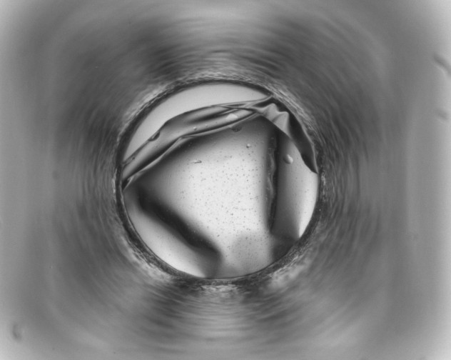 X0000098150446200805081045