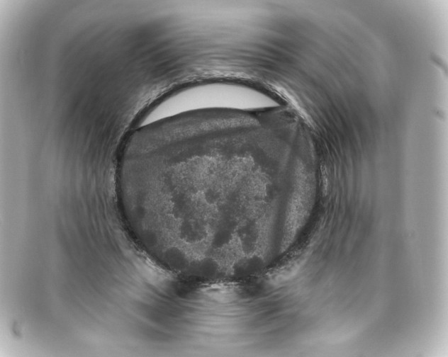 X0000098150447200805081045
