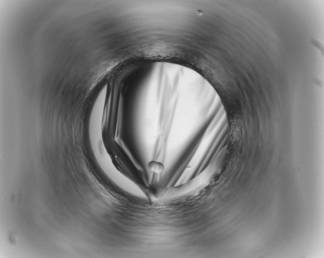 X0000098150448200805081045