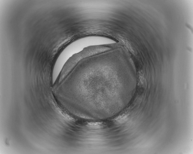 X0000098150450200805081045