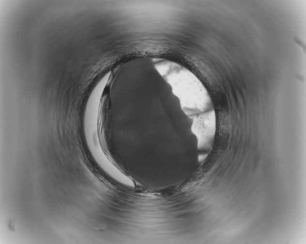 X0000098150451200805081045