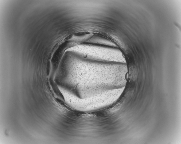 X0000098150453200805081045