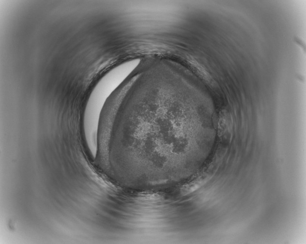 X0000098150454200805081045