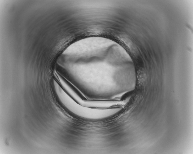 X0000098150455200805081045