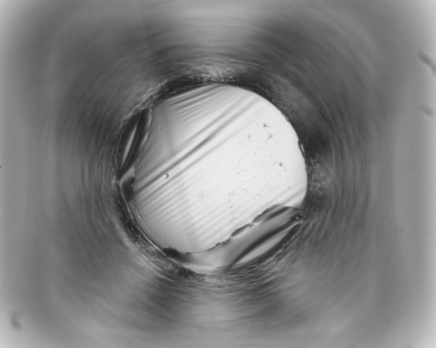 X0000098150456200805081045