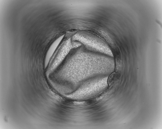 X0000098150457200805081045