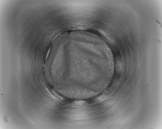 X0000098150459200805081045