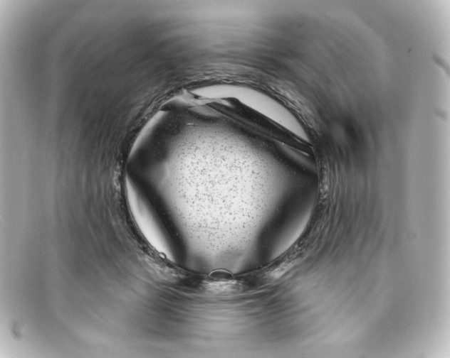 X0000098150461200805081045