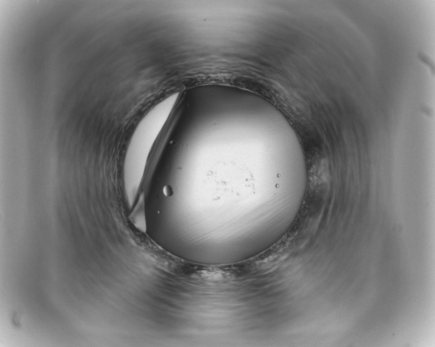 X0000098150464200805081046