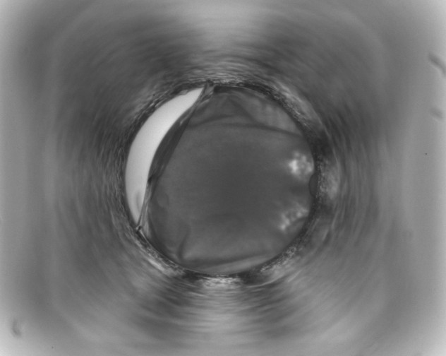 X0000098150465200805081046