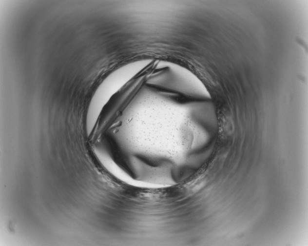 X0000098150466200805081046