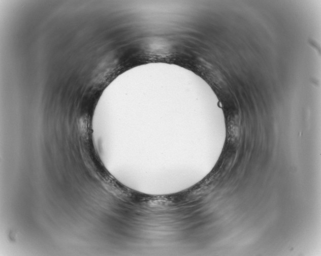 X0000098150468200805081046