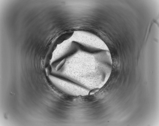 X0000098150470200805081046