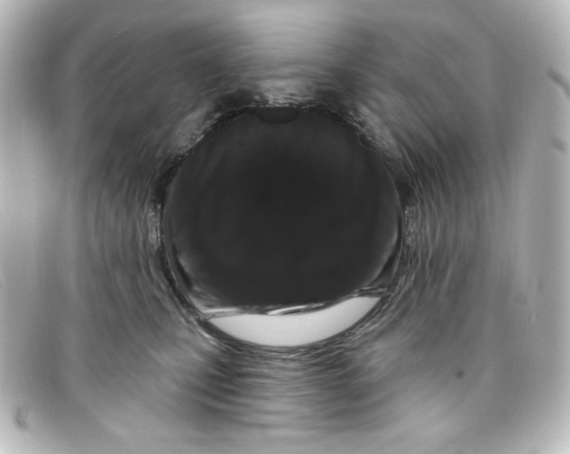 X0000098150471200805081046