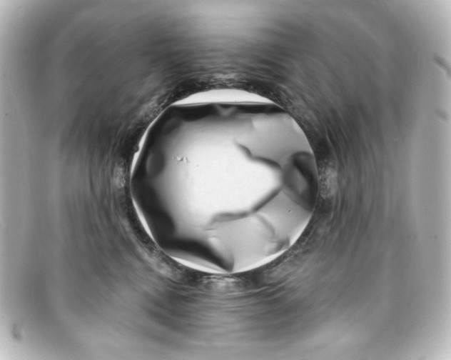 X0000098150472200805081046