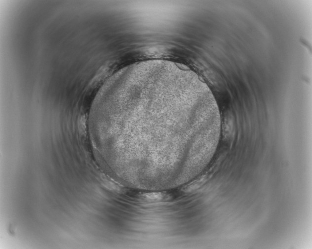 X0000098150473200805081046