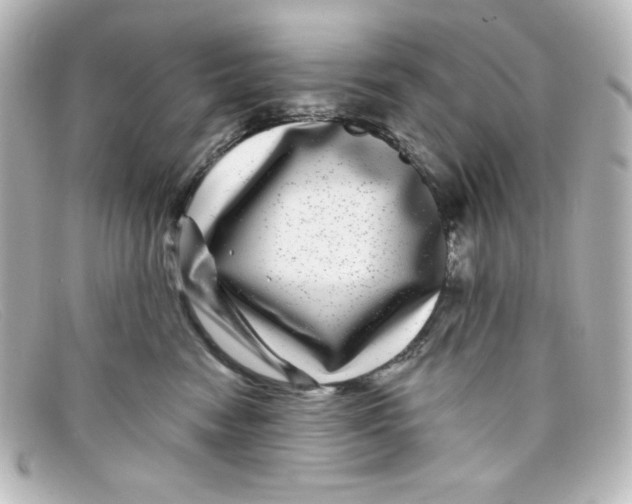 X0000098150474200805081046