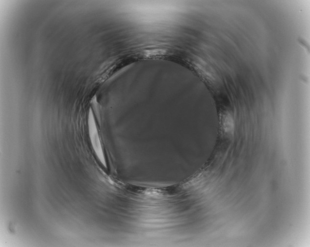 X0000098150475200805081046