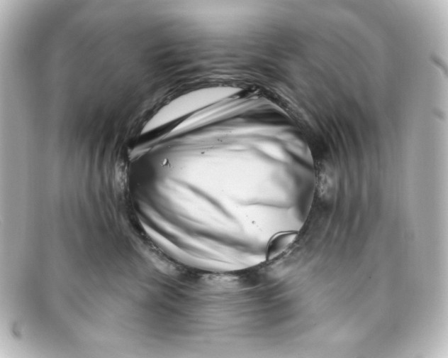 X0000098150476200805081046